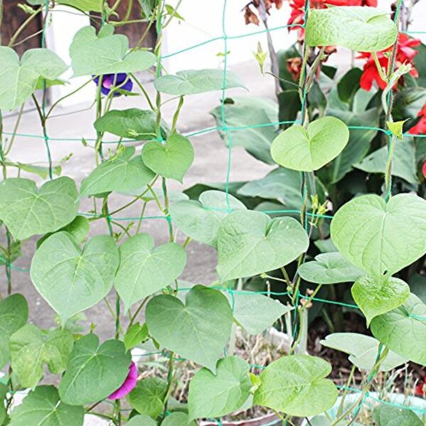 Nylon Garden Fence Vegetable Plant Trellis Netting - Image 6