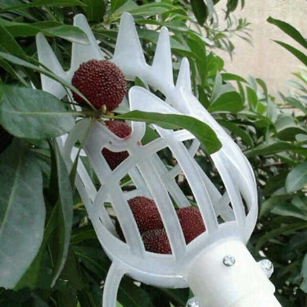 Fruit Picking Tool Farm Hardware Garden Supply - Image 2
