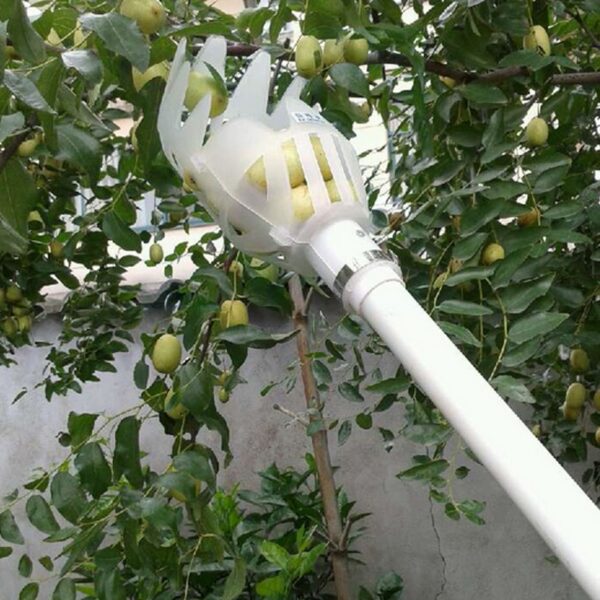 Fruit Picking Tool Farm Hardware Garden Supply