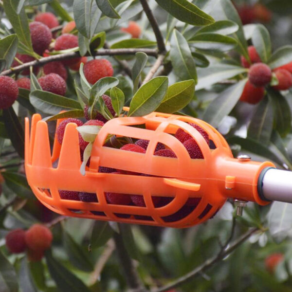 Fruit Picking Tool Farm Hardware Garden Supply - Image 5