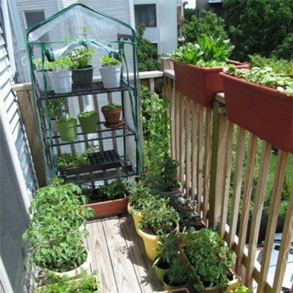 Multi-Step Agricultural Greenhouse Grow Tent - Image 3